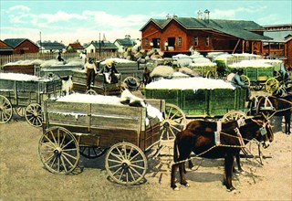 Cotton Wagons 1918