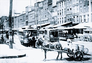 Horse Cart With Barrels, Philadelphia, PA