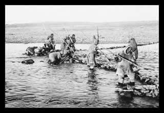 Inuit killing salmon with spears