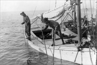 Fishing Oysters in Mobile Bay 1910