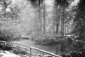 Central Park Ramble 1905