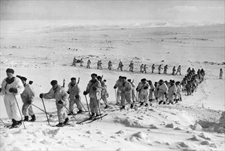 A detachment of soviet navy skiers on maneuvers prior to engaging german positions on the first baltic front.