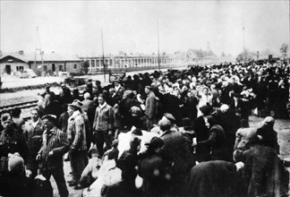 Auschwitz, poland, train loads of concentration camp victims arriving at the railway station near the camp, world war 2.