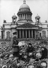 Cabbages growing in a  kitchen garden in front of st, isaac's cathedral in leningrad during the siege of the city, world war 2, ussr.