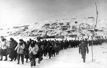 Marching german prisoners of war towards the volga, january 1943, stalingrad.