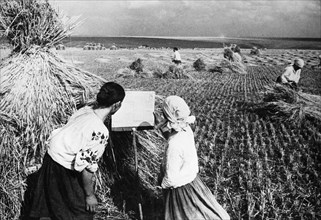 Reading a newspaper during a break in the harvest at a collective farm in the ukraine in the 1930s.