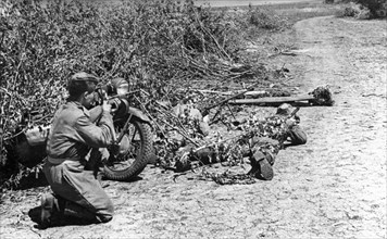 World war 2, june 1943, an anti-tank rifle crew of the 3rd special motorcycle regiment of the guards in ambush on a road, ukraine.