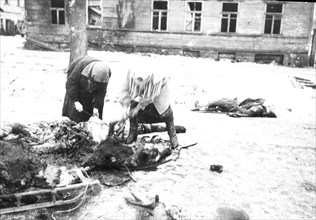 world war ll: a horse killed during the bombing is used for food during the leningrad blockade, 1943.