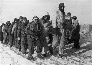 German soldiers taken prisoner in the area of narva on the leningrad front, world war 2, march 1944.