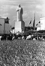 The all-union agricultural exhibition in moscow, august 1939, visitors to the exhibition examining specimens of a couch-grass / wheat hybrid (developed by  member of the academy of sciences, tsitsin) ...