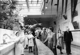 Soviet health resorts, a mineral water bar at the yessentuki mineral springs, 1951.