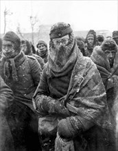 German prisoners of war at stalingrad.