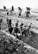 Defense of leningrad during world war ll, civilians digging anti-tank ditches.