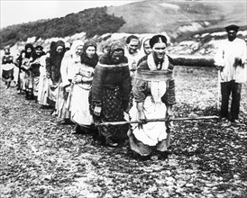 Women pulling a barge in nizhny novgorod region in 1910.