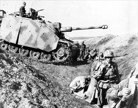 Heavy german tank crosses a russian tank ditch near belgorod during the kursk battle august 1943, the big russian summer attack made the germans turn around and retreat.