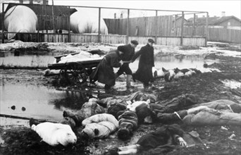 Leningrad blockade: relatives were so weak from hunger that they hand no strength to bury their dead, bodies were taken to the edge of the city and people given extra rations to bury the dead.