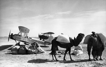 Saxaul seeds delivered by camel caravan to the airport to be loaded onto an aeroflot polikarpov po-2 (u-2), the plane will sow the seeds by air to propagate a forest of the shrub-like tree in the dese...