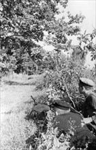 World war 2, ukrainian partisans waiting in ambush, october 1943.
