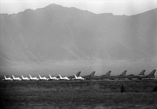 Afghan air force mikoyan-gurevich mig-15 fighters and ilyushin il-28 bombers at kabul, afghanistan, during the visit of the u,s, president dwight d, eisenhower, 9-14 december 1959.