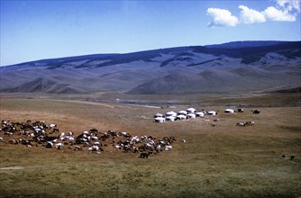 A nomadic horse herders settlement consisting of yurts on the mongolian steppe, 1990s.