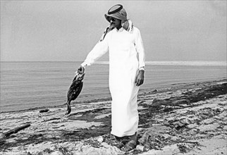 A kuwaiti resident holding a dead cormorant along the oily shore of the persian gulf, the war in the persian gulf caused huge damage to the local environment and the area is on the verge of ecological...
