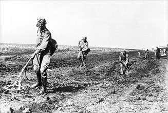 Sappers clearing mine fields of the kursk region after nazi troops' retreat during world war ll.