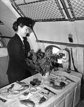 A stewardess placing flowers from khabarovsk on the dinner table aboard a tu-114 airliner (at the time, the world's largest), may 1959.