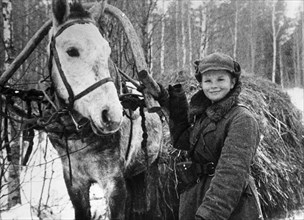 World war 2, 11 year old partisan, vanya shkelev, delivering hay to the guerillas, january 1943, he survived the war and became a navigator.