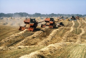 Combines harvesting wheat on a farm in ukraine, ussr in the 1980s.
