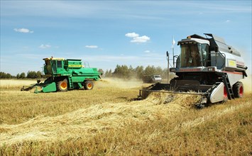 The 'vektor' new grain harvester (right) manufactured at the 'rostselmash' operates in the fields of the 'niva' farm in omsk region, russia, august 2004.
