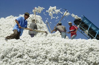 Tajikistan, raw cotton is storaged at a cotton-gin mill, september 2004.