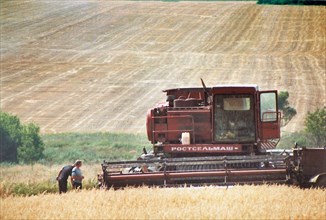 Pea harvesting in the field of the state farm of the experimental estate of the research institute of the russain academy of science, voronezh region, russia, july 2003.