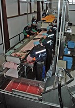Kamchatka, russia, august 21, 2007, salmon on processing line at the vostochny bereg fish processing facility located in ivashka village.