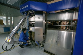 Operator is at work at the plemzavod rodina farm which is outfitted with delaval milking system, volgograd region of russia, february 5, 2008.