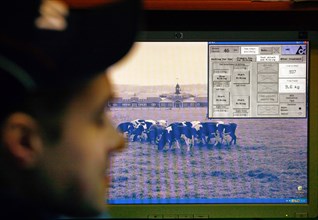 Operator looks at the computer monitor at the plemzavod rodina farm which is outfitted with delaval milking system, volgograd region of russia, february 5, 2008.