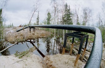 The tyumen area, 1995, the sugmut deposit located among bogs between of nadym and purya, is one of the largest on stocks of oil in western siberia, in a picture: an oil pipeline from the sugmut deposi...