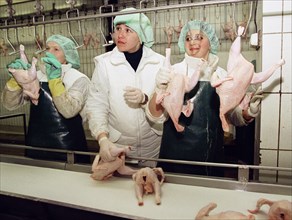 Moscow region, russia, november 15 2002: in the new shop (in pic) of the petelino poultry-processing factory that was opened today, the factory is the biggest one in the region, (photo boris kavashkin...