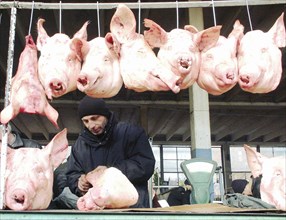 Pigs' heads on sale at a food market in tbilisi, georgia, where trading is in full swing on the new year eve, tbilisi,georgia, december 29, 2002.