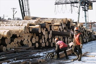 Siberian timber at freight yard 'taltsy' prepared for shipment to china, irkutsk region, russia, february 12 2003, more than a half of siberian timber comes from irkutsk region, about 70% of this timb...