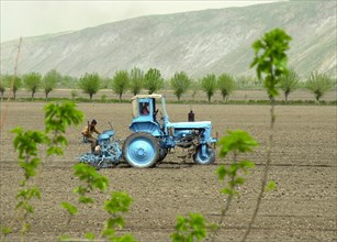 Tajikistan, cotton sowing, 3/99.