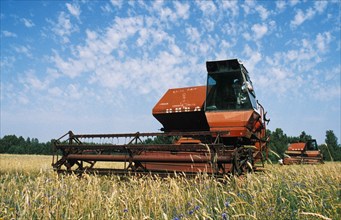 A combine harvesting wheat in the fields of the mikhail kutuzov collective farm in the trubchevsky district of the bryansk region of russia.