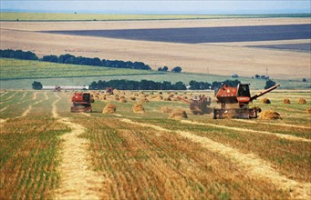 Combines harvesting grain on a farm in the stavropol territory of russia.
