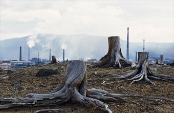 Taiga forest destroyed by pollution near the severonikel metallurgical plant in monchegorsk in the murmansk region, kola peninsula, russia, the plant is russia's 3rd largest, 1998.