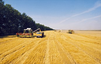 Grain harvesting in the novosibirsk region of siberia, russia.