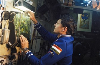 Salyut 6, soyuz 36, bertalan farkas, the first hungarian in space, examining the lab plants aboard salyut 6, 1980.