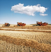 Combines harvesting wheat on the plains of ukraine.