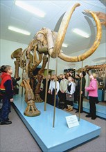 The first in kazakhstan mammoth skeleton is on display at the pavlodar local lore museum, it has been assembled of bones of pre-historical animals excavated by scientists on the region's territory, ja...