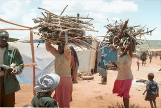 Residents of the benako refugee camp in tanzania collecting fire wood, september 1, 1994.