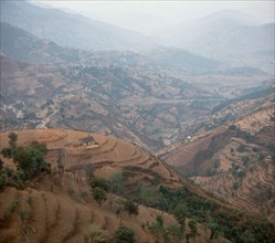 Terraced rice paddies in the himalayas in nepal, 1985.