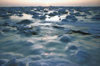 Ice flows on the white sea at sunset, russia.